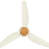 AIN_1546.webp