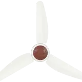 AIN_1529.webp