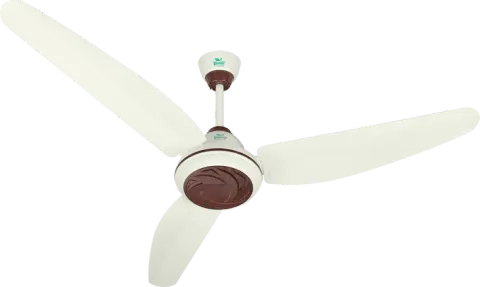 AIN_1713.webp