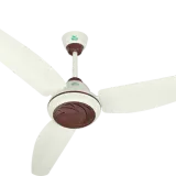 AIN_1713.webp