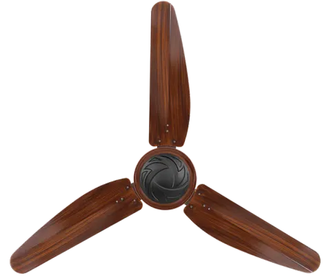 AIN_1540.webp