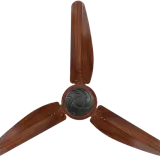 AIN_1540.webp