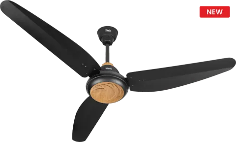 executive_1440x1440.webp